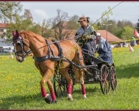 1POSIEUX 0352